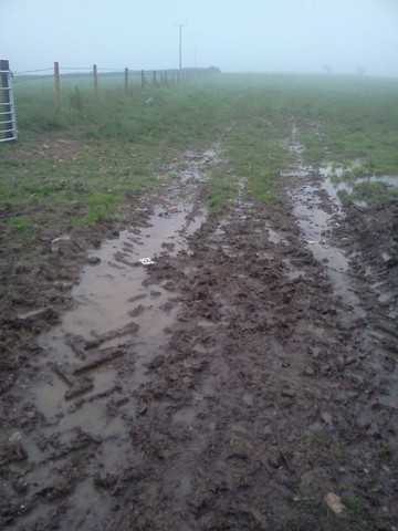 Rain Soaked Site