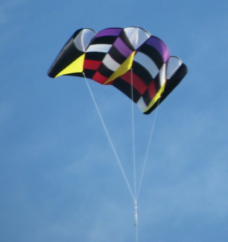 Kite