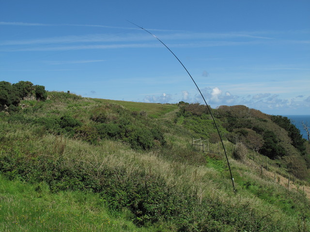 10m Roach Pole Supporting Loop Antenna