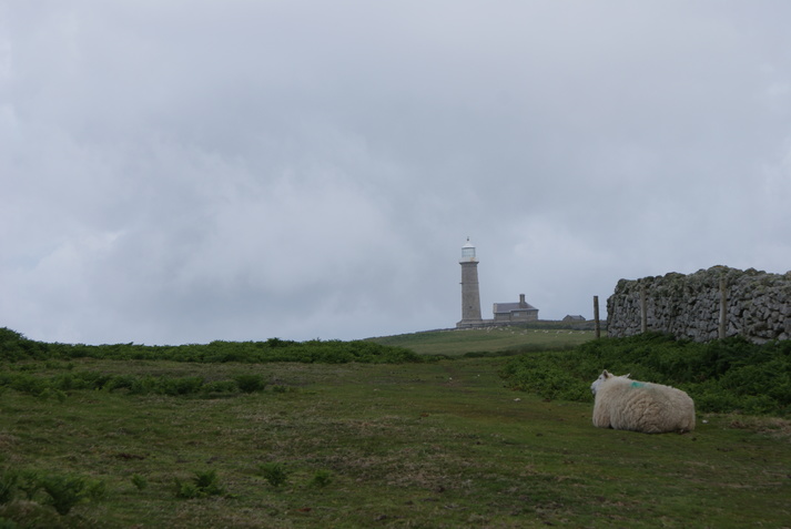 Sheep and the Old Light by Henryk M0HTB